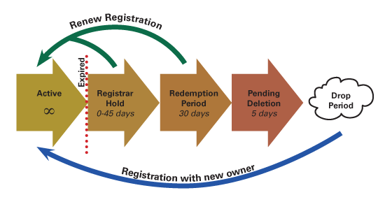 Domain Life-cycle